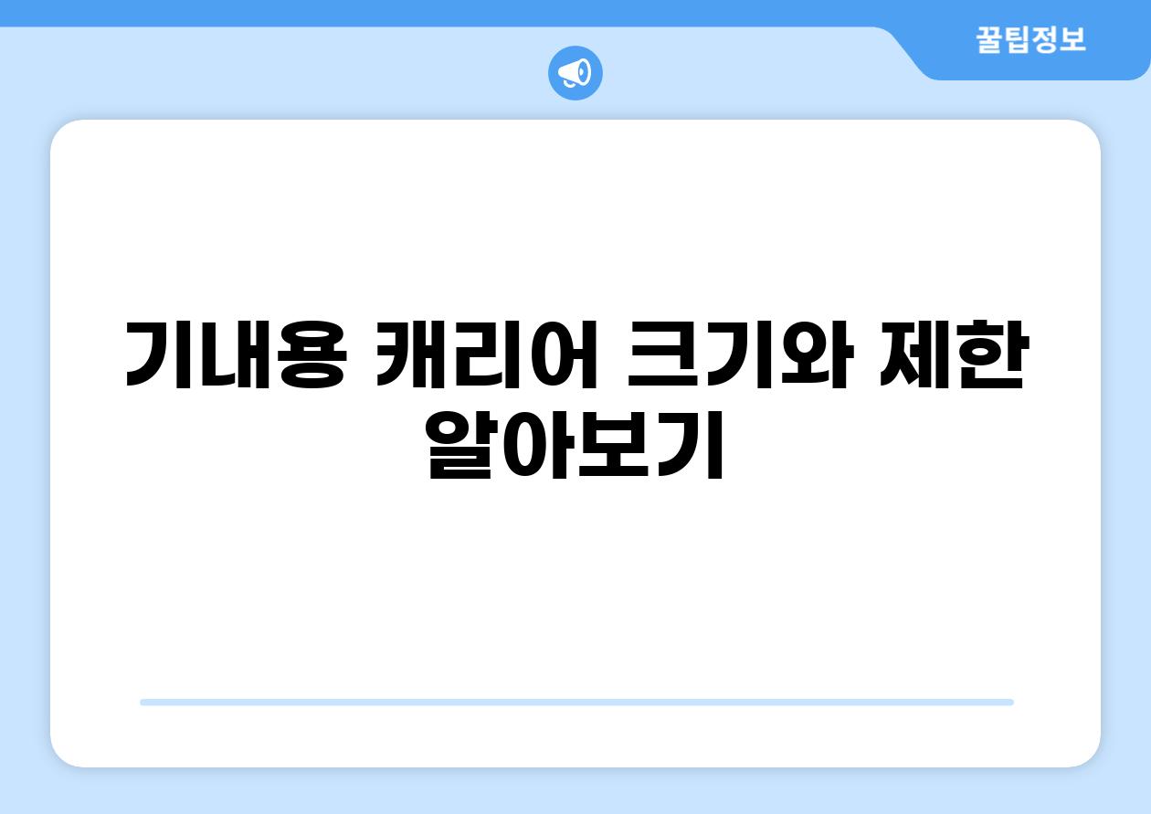 기내용 캐리어 크기와 제한 알아보기