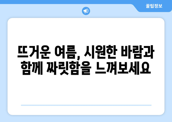 대만 3박 4일, 날씨별 환상적인 야외 활동 추천 | 대만 여행, 가이드, 계절별 추천, 야외 활동