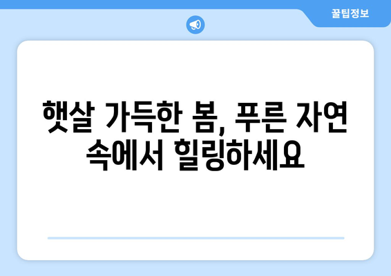 대만 3박 4일, 날씨별 환상적인 야외 활동 추천 | 대만 여행, 가이드, 계절별 추천, 야외 활동